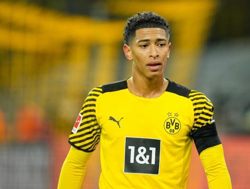 而对于威尔 而对于威尔