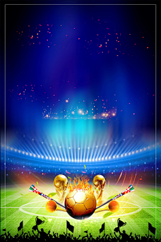 取得的成就 取得的成就