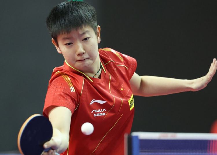 届澳网女单 届澳网女单