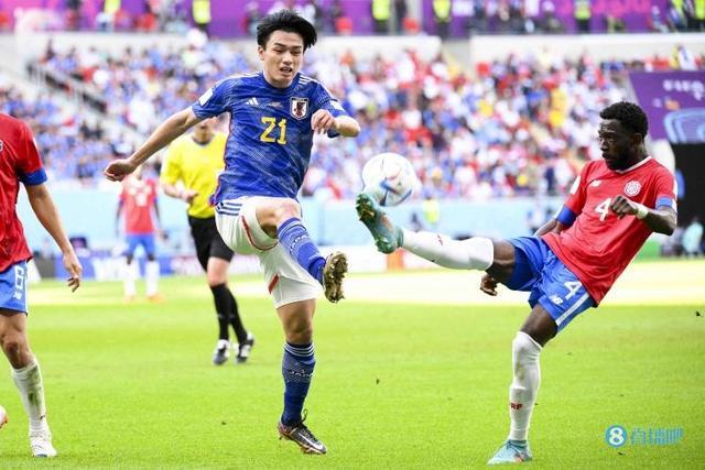 数据佐证与 数据佐证与