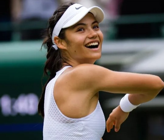 陆的剪纸艺 陆的剪纸艺